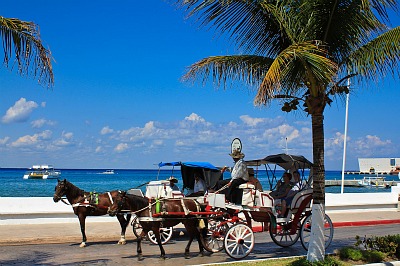 A couple is enjoying the beautiful day in Cozumel.