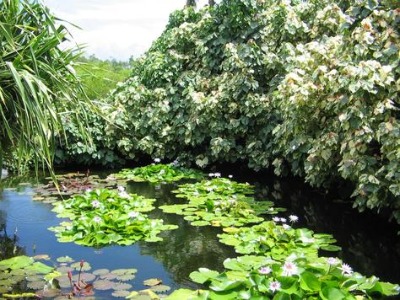 You will enjoy many beautiful moments in Queen Elizabeth II Botanic Park.